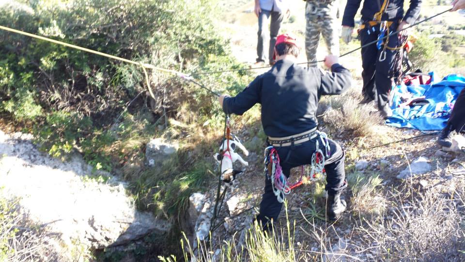 Λαύριο: Βρήκαν ζωντανή μέσα σε πηγάδι την σκυλίτσα που χάθηκε πριν από 25 μέρες